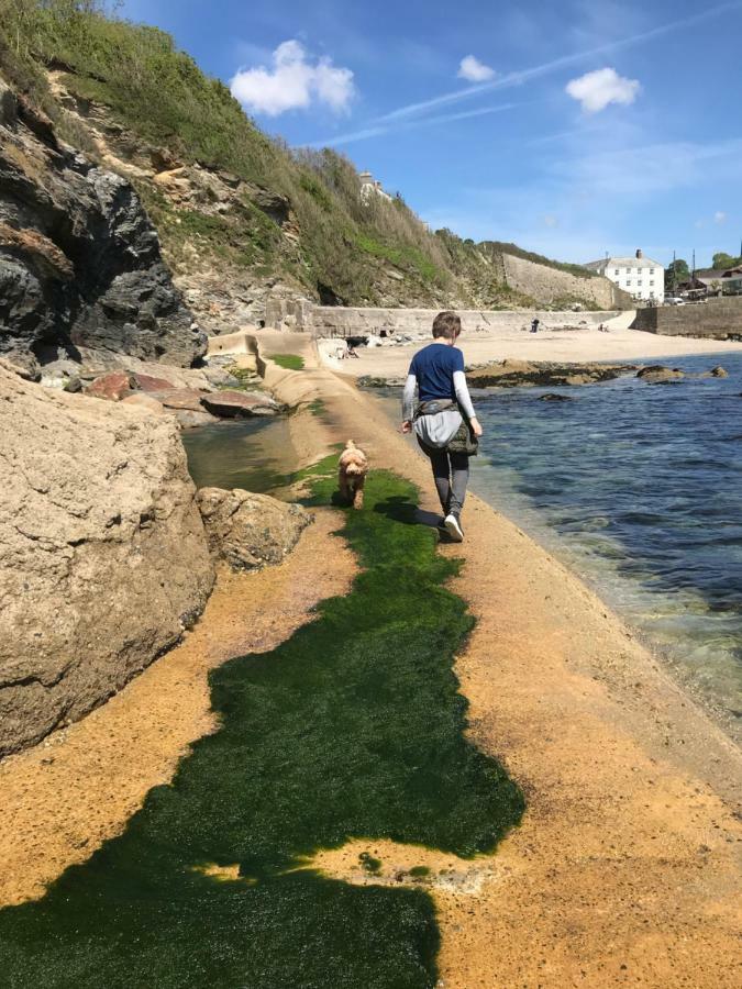 Starfish Cottage- Private Beach Access- Dog Friendly Charlestown  Εξωτερικό φωτογραφία